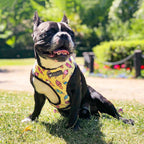 Ins explosion model dog small and medium-sized dog pets, breathable and breathable mesh leash