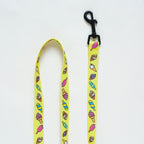 Ins explosion model dog small and medium-sized dog pets, breathable and breathable mesh leash