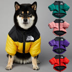 American trendy dog face windproof and rainproof dog large dog winter warm raincoat dog pet cotton jacket