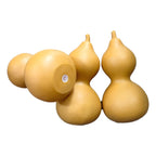 Dog toys, pet sound toys, chewable puppy teeth cleaning and training vinyl toys wholesale