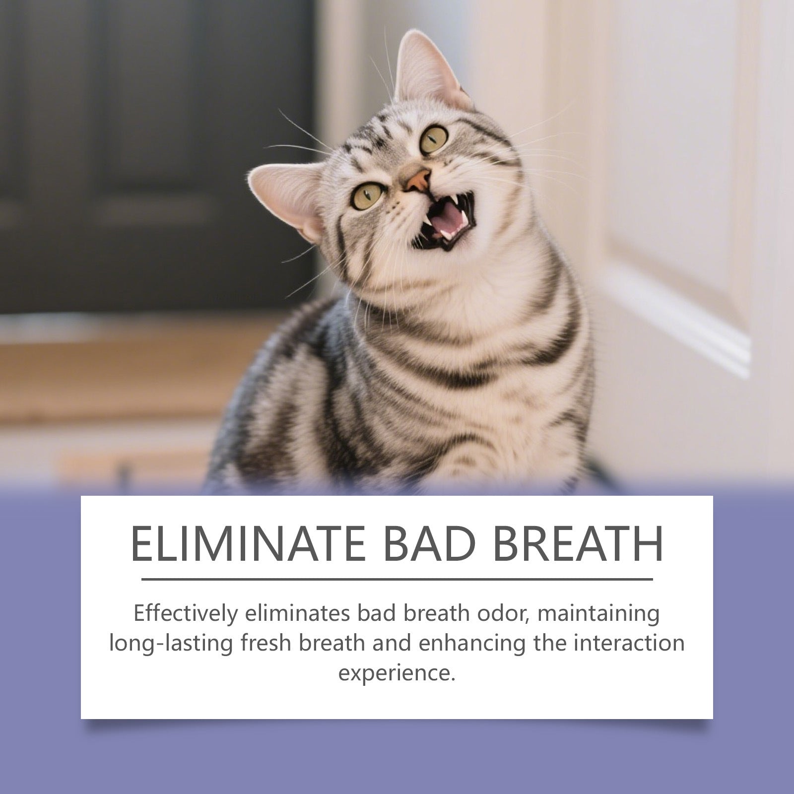 YEGBONG Drinkable Pet Mouthwash: Gently protects pets' oral hygiene, cleans tartar, and removes odors.