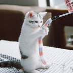 TOUCHCAT Caterpillar Series Cat Toys, Cat Toys, Cat Toys, Cat Toys, Cat Toys, Cat Toys, Cat Toys, Cat Toys