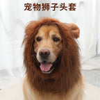 Cross-border hot-selling new pet products golden retriever dog cat funny cute wig lion head cover hat