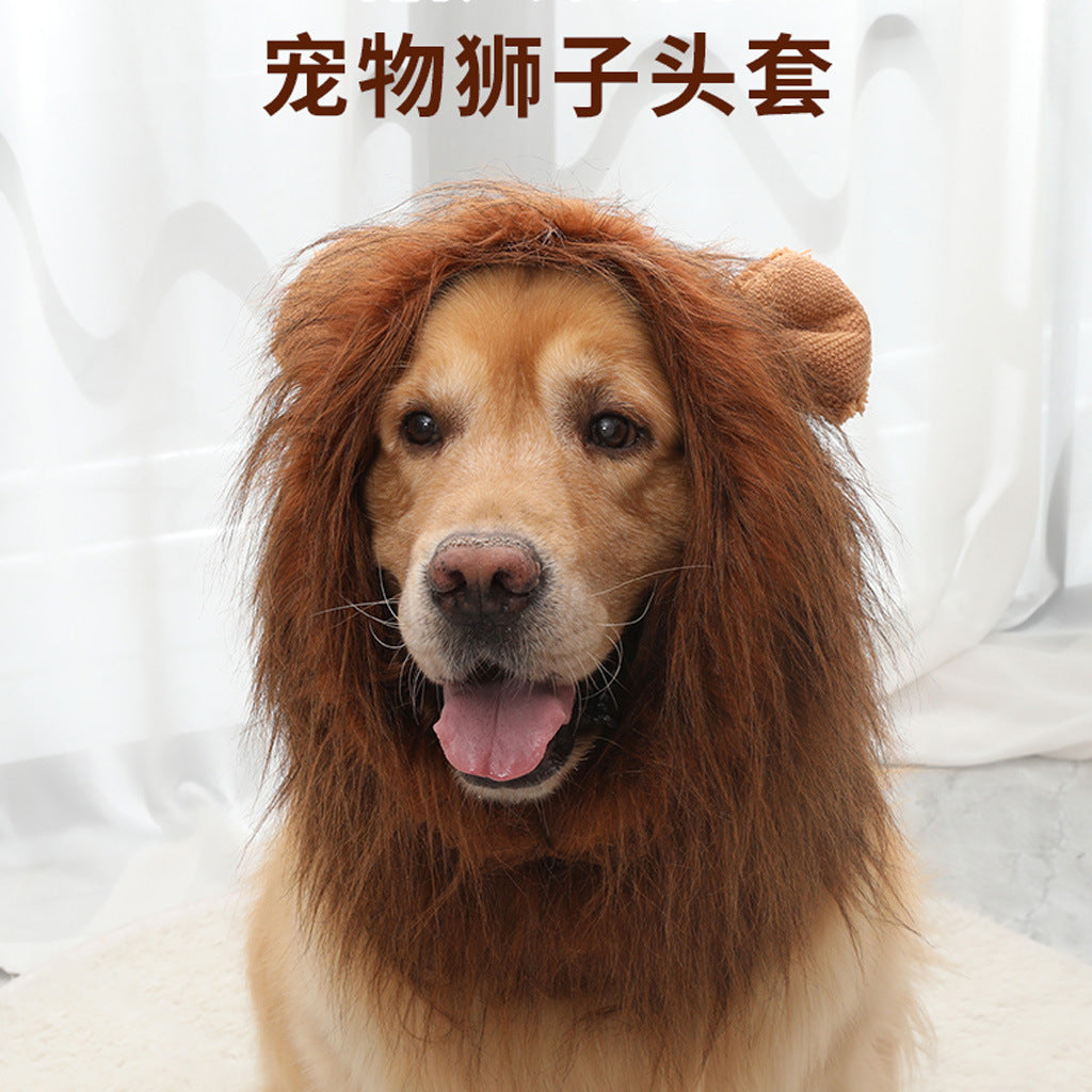 Cross-border hot-selling new pet products golden retriever dog cat funny cute wig lion head cover hat