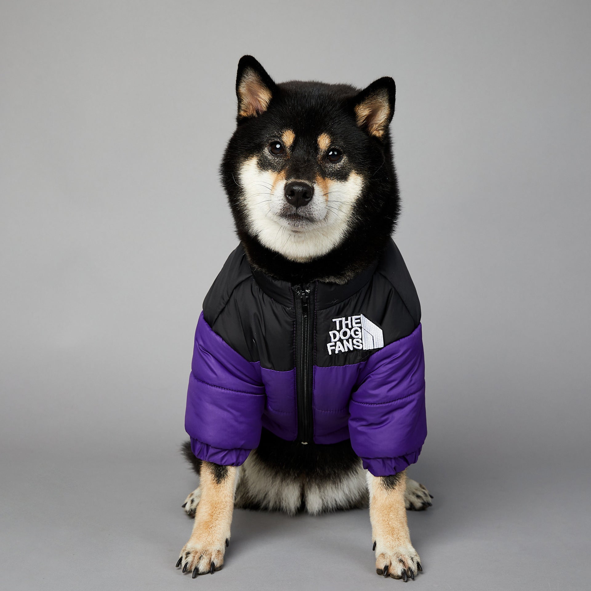 American trendy dog face windproof and rainproof dog large dog winter warm raincoat dog pet cotton jacket