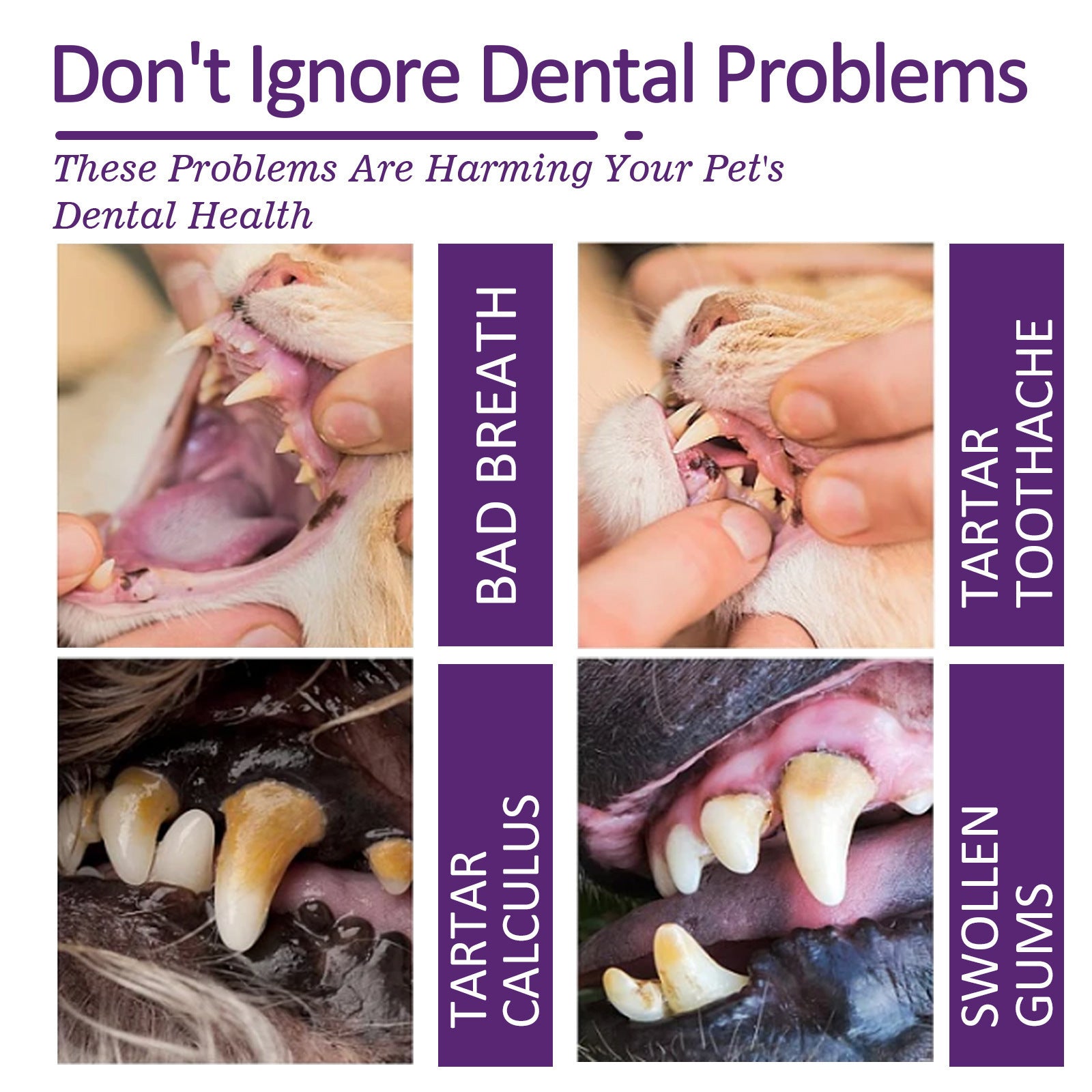 Yegbong Pet V34 Toothpaste - Cleanses pets' breath, removes odors, plaque and stains, and protects gums.