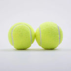 Dog toys, pet sound toys, chewable puppy teeth cleaning and training vinyl toys wholesale