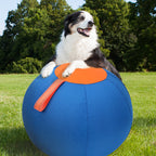 Inflatable dog toy ball, Golden Retriever chew ball, teething ball, entertainment ball, Shiba Inu/Corgi toy, self-entertaining pet training ball