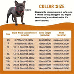 New pet dog collar necklace inlaid with diamonds Cuban chain dog chain dog collar lock gold silver dog chain