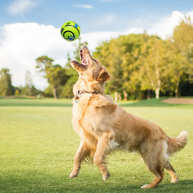 Pet Sound Toy Ball