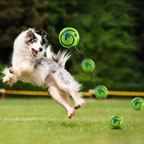 Pet Sound Toy Ball