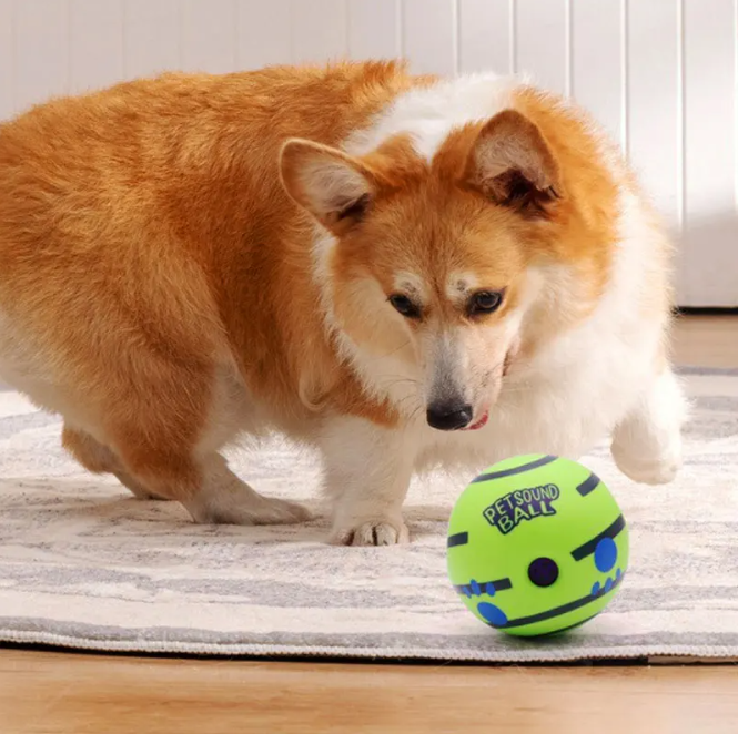 Pet Sound Toy Ball